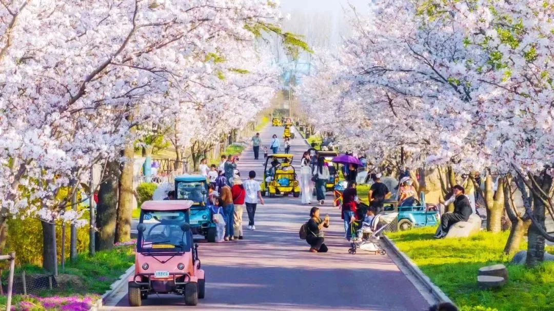 宇通上新季丨大運力超能巴士助力旅游經(jīng)濟一路“繁花” 宇通上新季丨大運力超能巴士助力旅游經(jīng)濟一路“繁花”